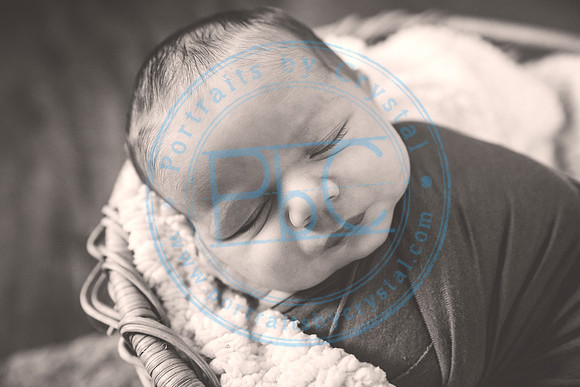 Jamison - Newborn_041920_0045