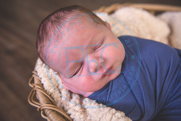 Jamison - Newborn_041920_0048