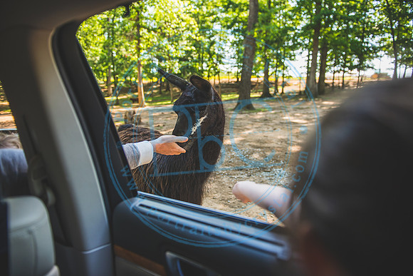 Lazy 5 Ranch_050620_0045