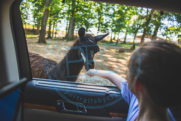 Lazy 5 Ranch_050620_0051