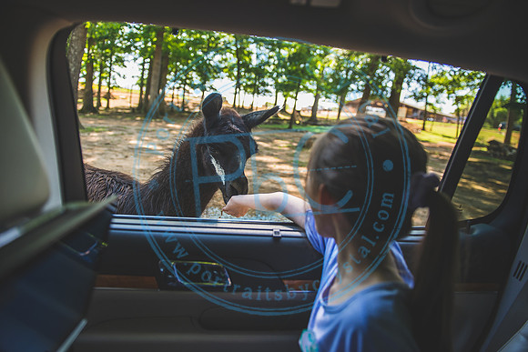 Lazy 5 Ranch_050620_0050