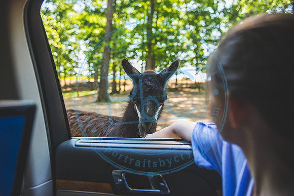 Lazy 5 Ranch_050620_0065