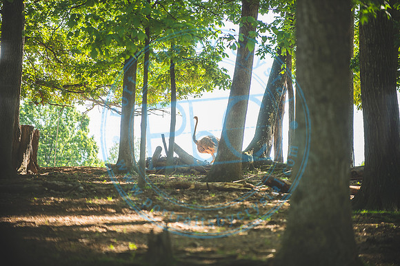 Lazy 5 Ranch_050620_0082