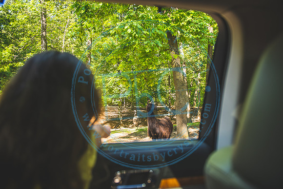 Lazy 5 Ranch_050620_0088