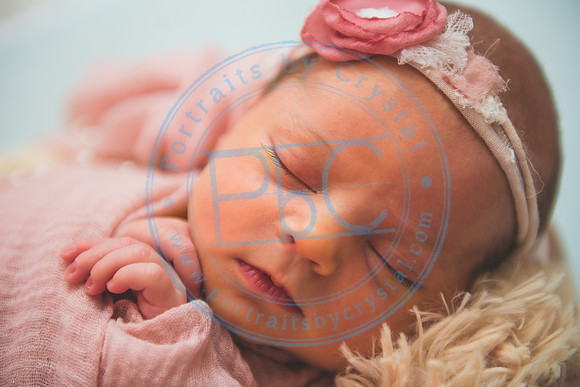 Gracelynn - Newborn_052020_0099