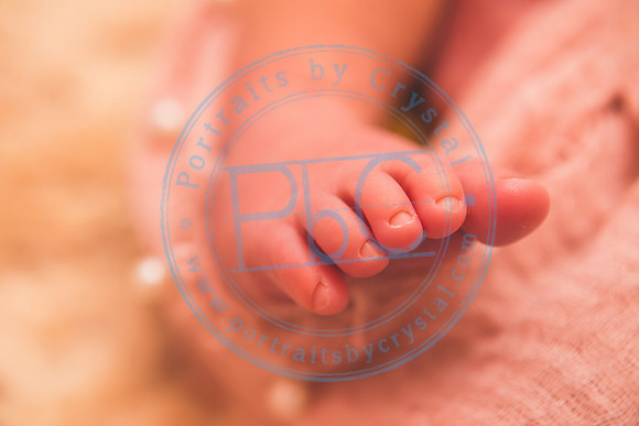 Gracelynn - Newborn_052020_0134