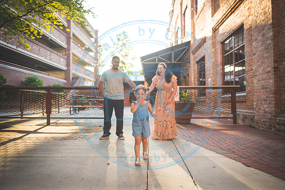 Batista Family - Baby #2 Announcement_052320_0065