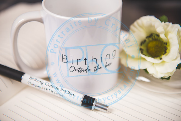 Birthing Outside the Box_032620_0305