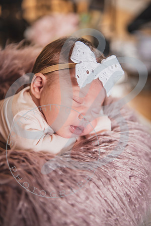 Mia - Newborn_052424_0641