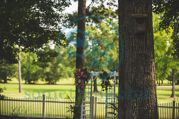 Venita & Jim - Wedding_062720_1091