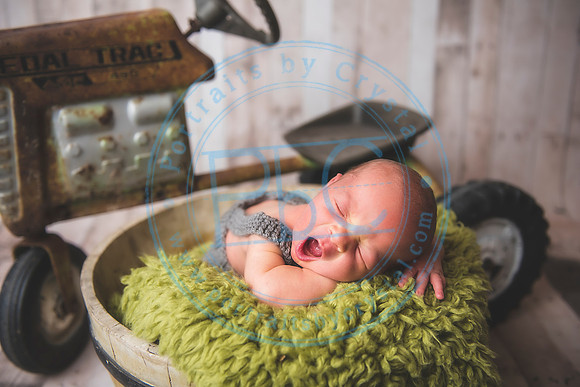 Brantley - Newborn_080820_0055