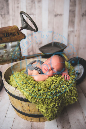 Brantley - Newborn_080820_0059