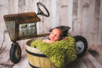 Brantley - Newborn_080820_0070