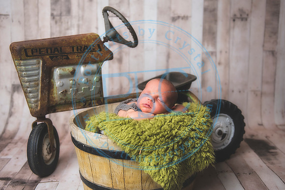 Brantley - Newborn_080820_0070