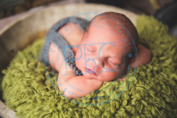 Brantley - Newborn_080820_0064