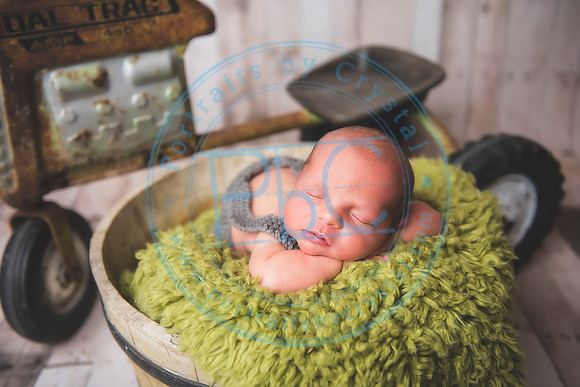 Brantley - Newborn_080820_0061