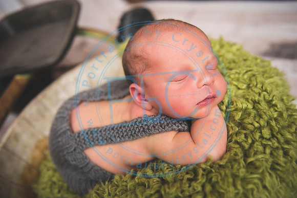 Brantley - Newborn_080820_0072