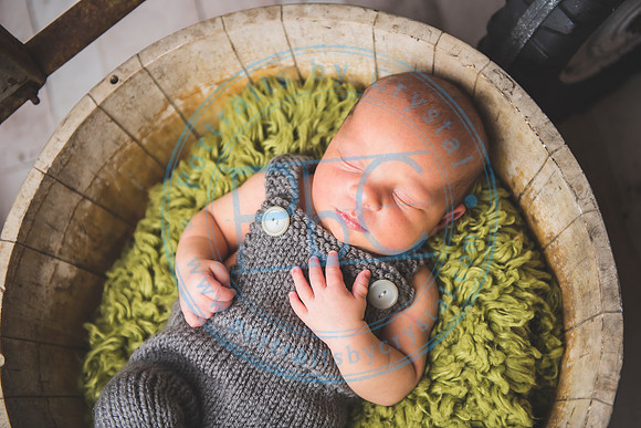 Brantley - Newborn_080820_0074