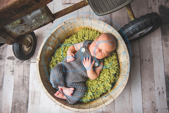 Brantley - Newborn_080820_0078