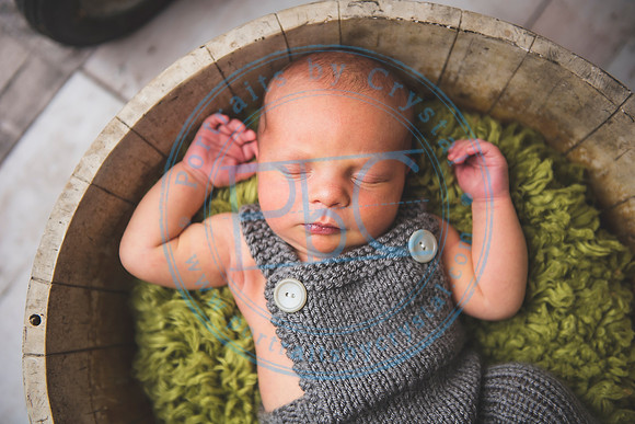 Brantley - Newborn_080820_0083