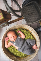 Brantley - Newborn_080820_0088