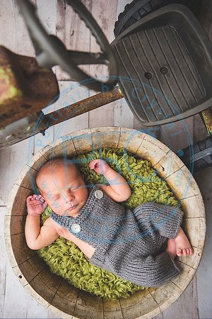 Brantley - Newborn_080820_0088