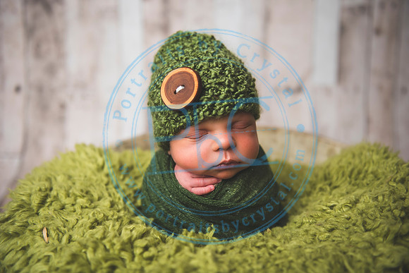 Brantley - Newborn_080820_0094