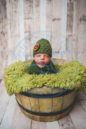 Brantley - Newborn_080820_0109