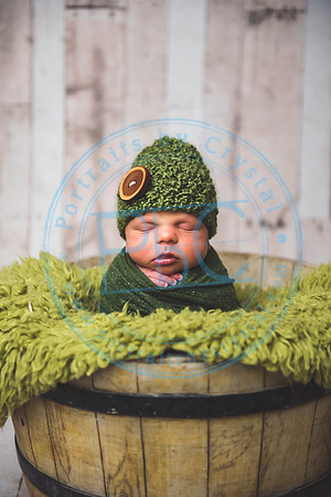 Brantley - Newborn_080820_0110