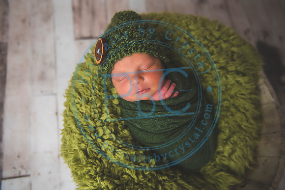 Brantley - Newborn_080820_0118
