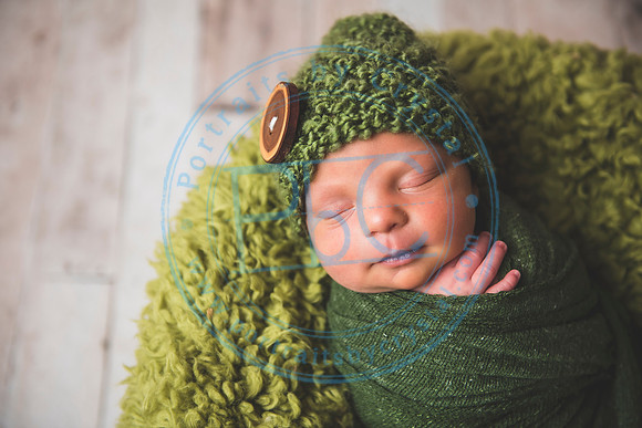 Brantley - Newborn_080820_0128