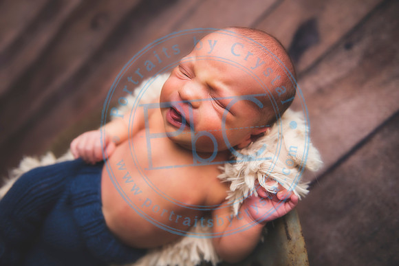 Brantley - Newborn_080820_0185