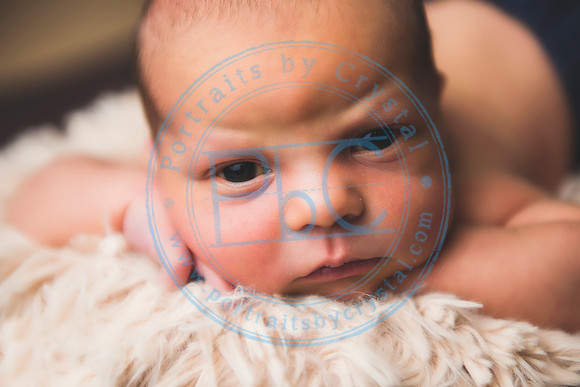 Brantley - Newborn_080820_0203