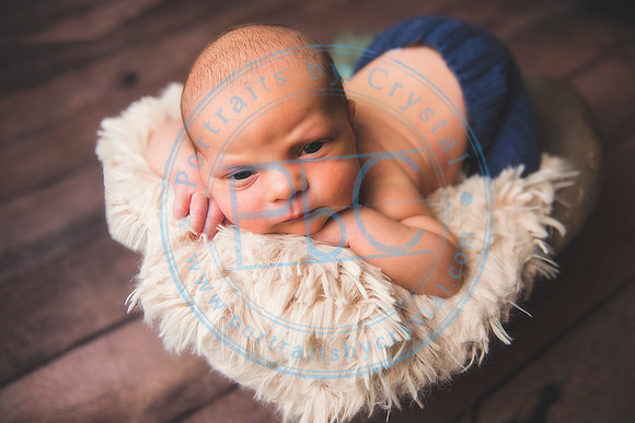 Brantley - Newborn_080820_0207