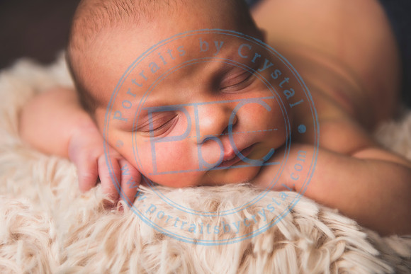 Brantley - Newborn_080820_0214