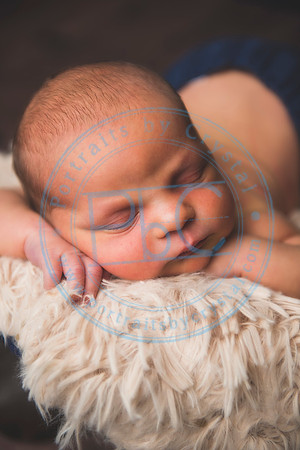 Brantley - Newborn_080820_0215