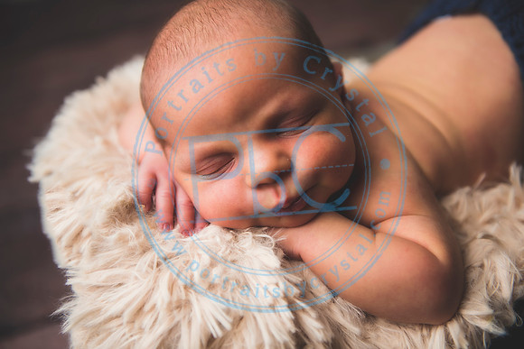 Brantley - Newborn_080820_0229