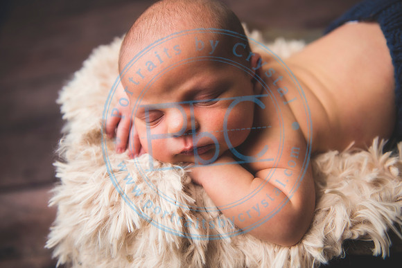 Brantley - Newborn_080820_0236