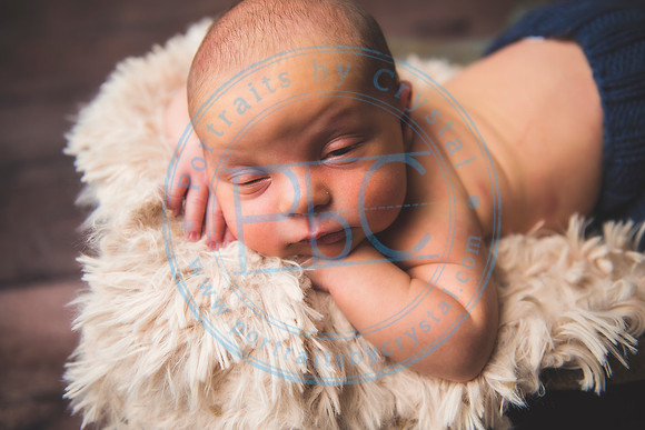 Brantley - Newborn_080820_0237