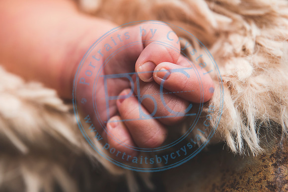 Brantley - Newborn_080820_0251