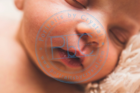 Brantley - Newborn_080820_0257