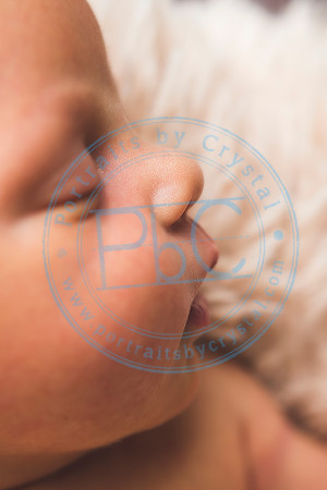 Brantley - Newborn_080820_0261