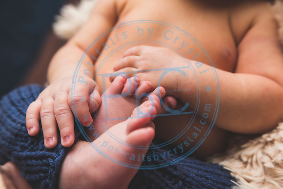 Brantley - Newborn_080820_0282