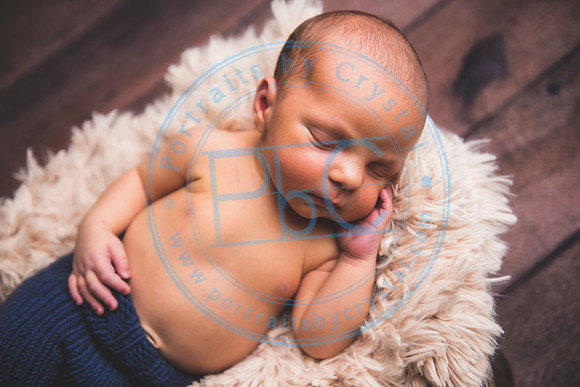 Brantley - Newborn_080820_0297
