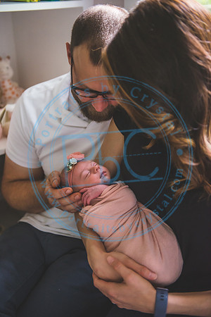 Bristol - Newborn_081420_0021