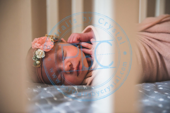 Bristol - Newborn_081420_0168