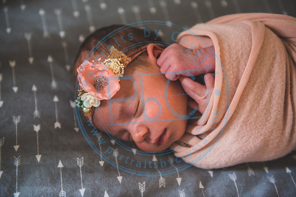 Bristol - Newborn_081420_0174