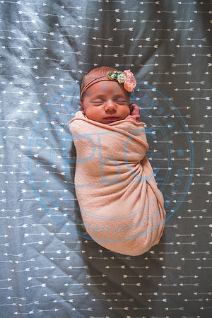 Bristol - Newborn_081420_0179