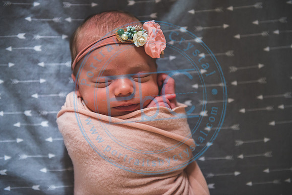 Bristol - Newborn_081420_0196