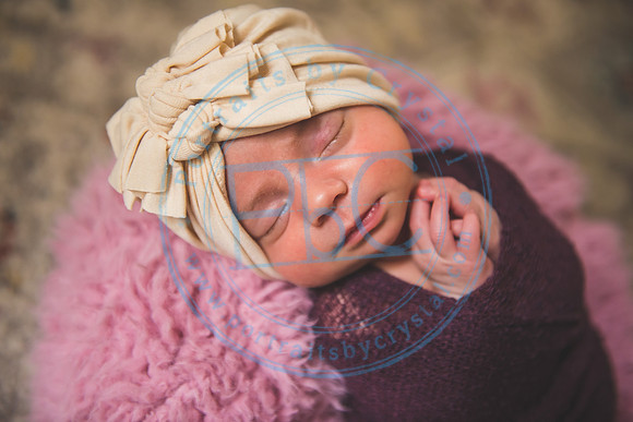 Bristol - Newborn_081420_0197